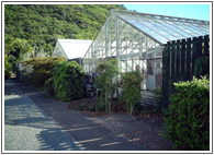 ハワイ大学付属の温室